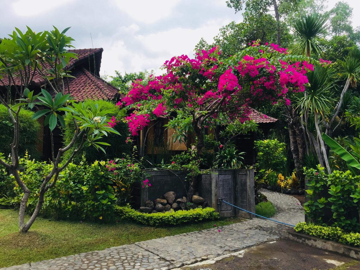 Sea Breeze Lovina Hotel Exterior foto